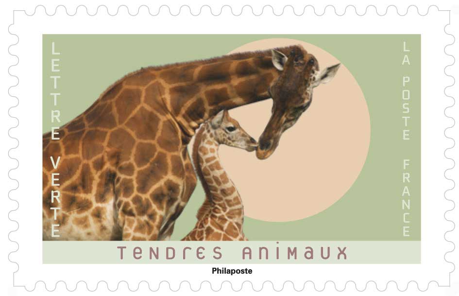 2023 TENDRES ANIMAUX