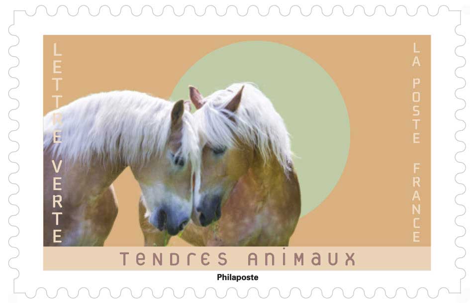 2023 TENDRES ANIMAUX