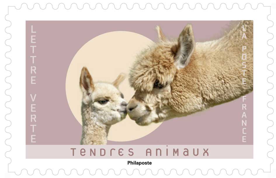 2023 TENDRES ANIMAUX