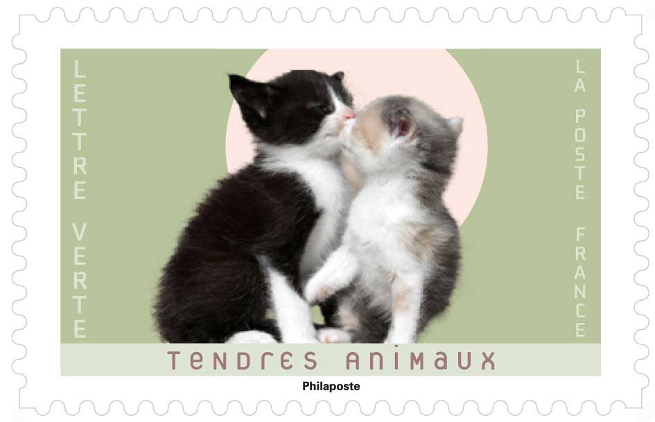 2023 TENDRES ANIMAUX