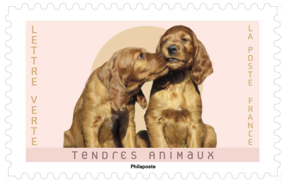 2023 TENDRES ANIMAUX