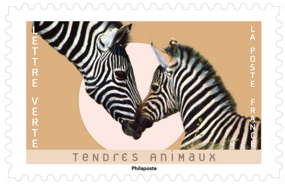 2023 TENDRES ANIMAUX