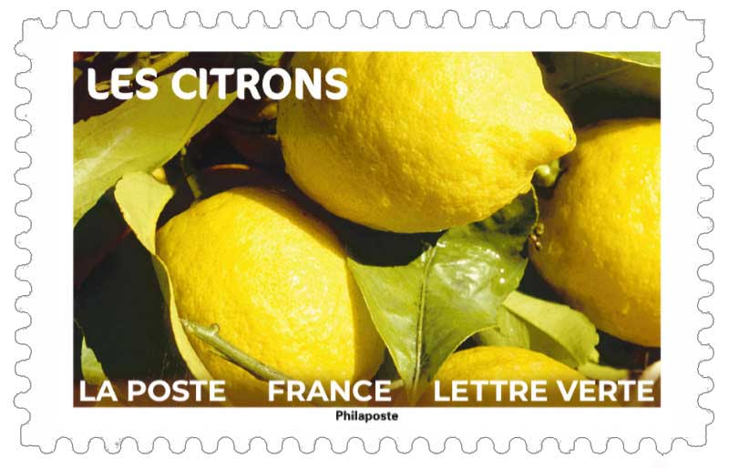 2023 LES CITRONS