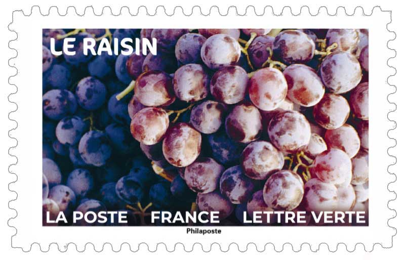 2023 LE RAISIN