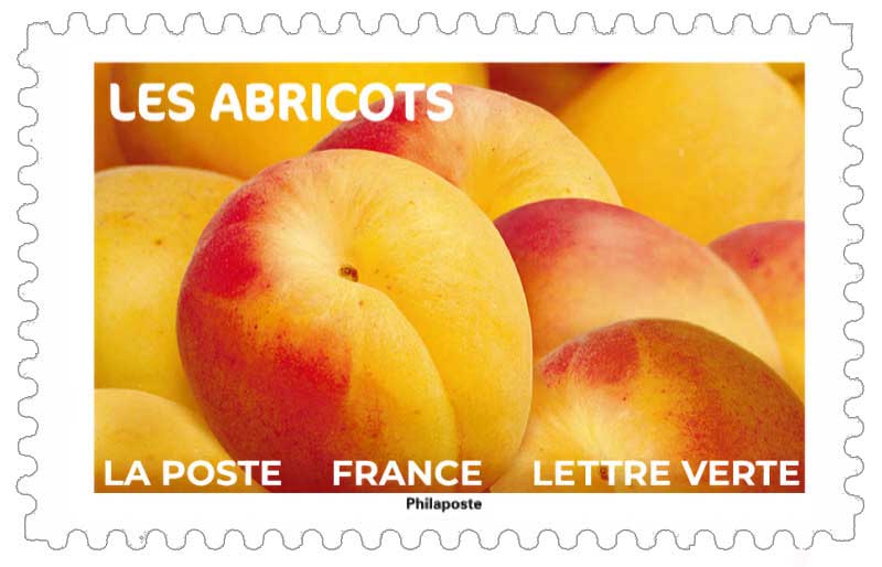 2023 LES ABRICOTS