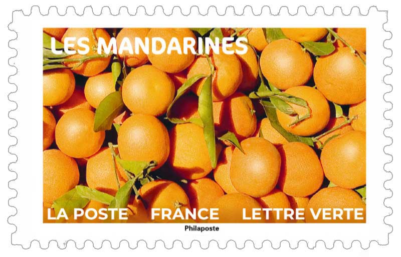 2023 LES MANDARINES