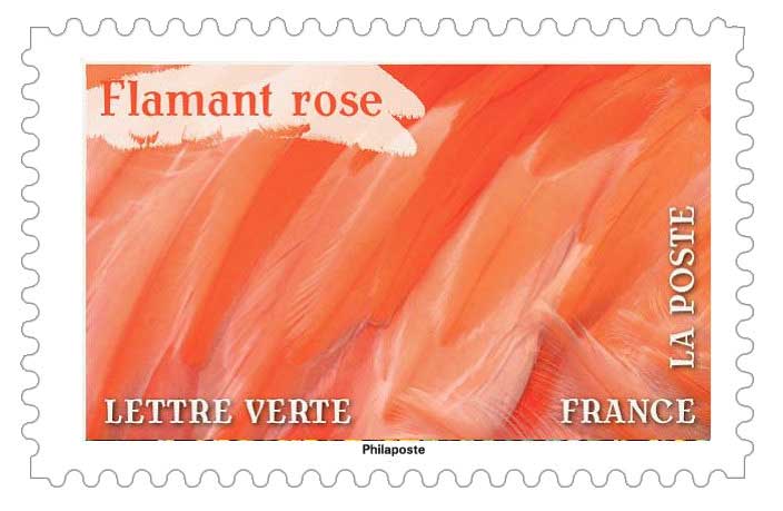 2024 Flamant rose