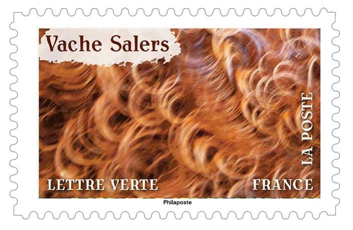 2024 Vache Salers