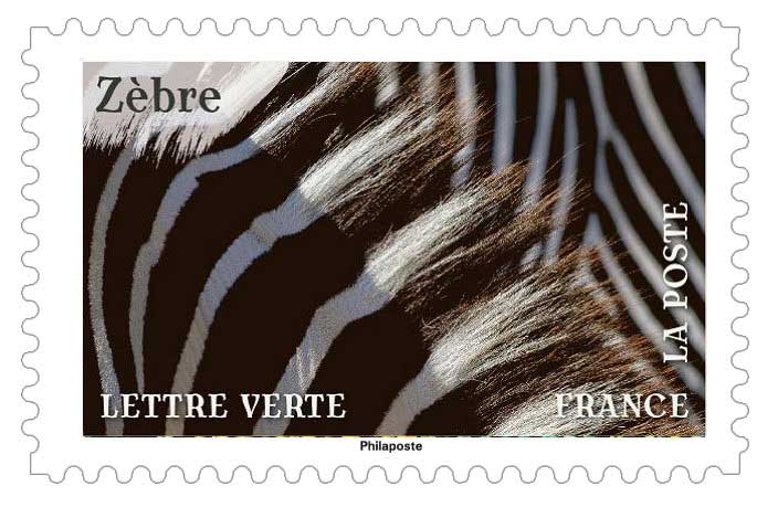 2024 Zèbre
