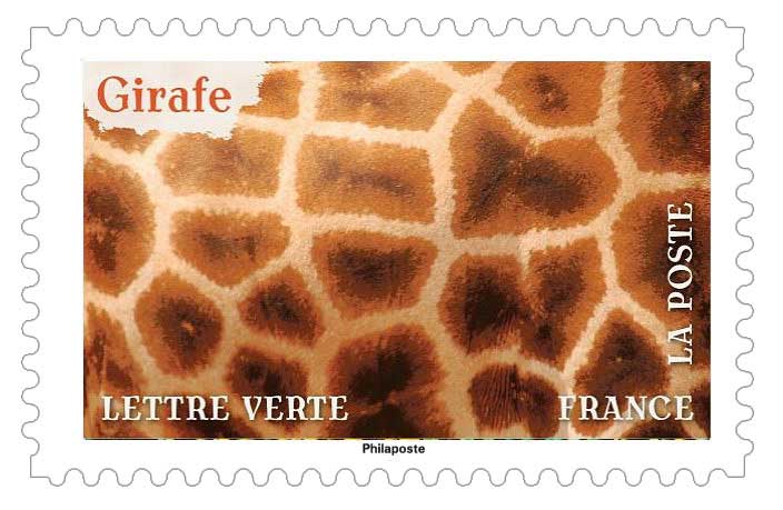 2024 Girafe