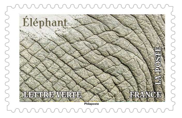 2024 Éléphant