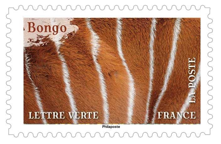 2024 Bongo
