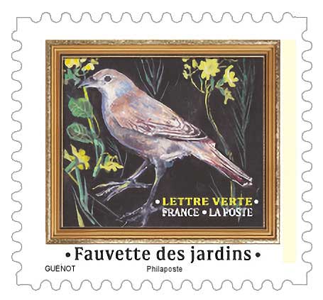 2025 Fauvette des jardins