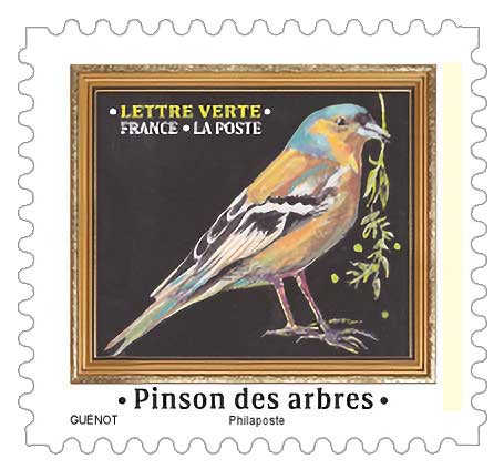 2025 Pinson des arbres