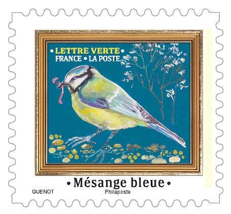 2025 Mésange bleue
