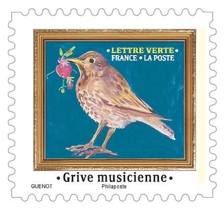 2025 Grive musicienne