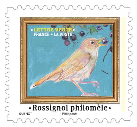 2025 Rossignol philomèle