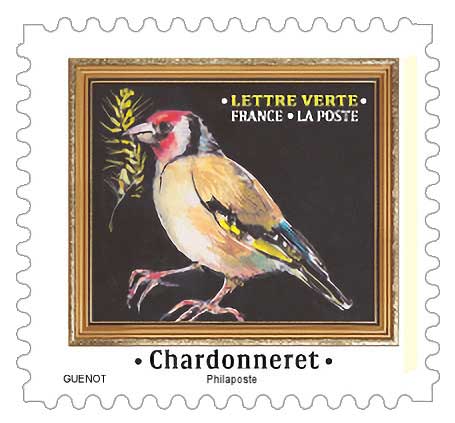 2025 Chardonneret