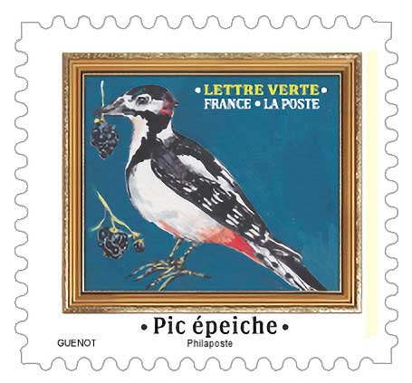 2025 Pic épeiche