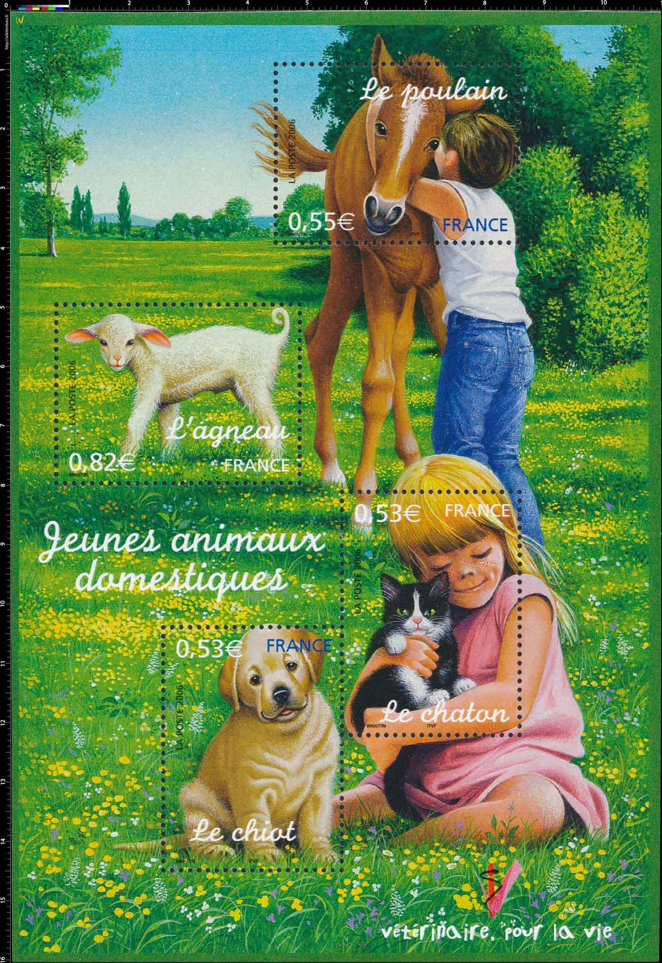 2006 Jeunes animaux domestiques