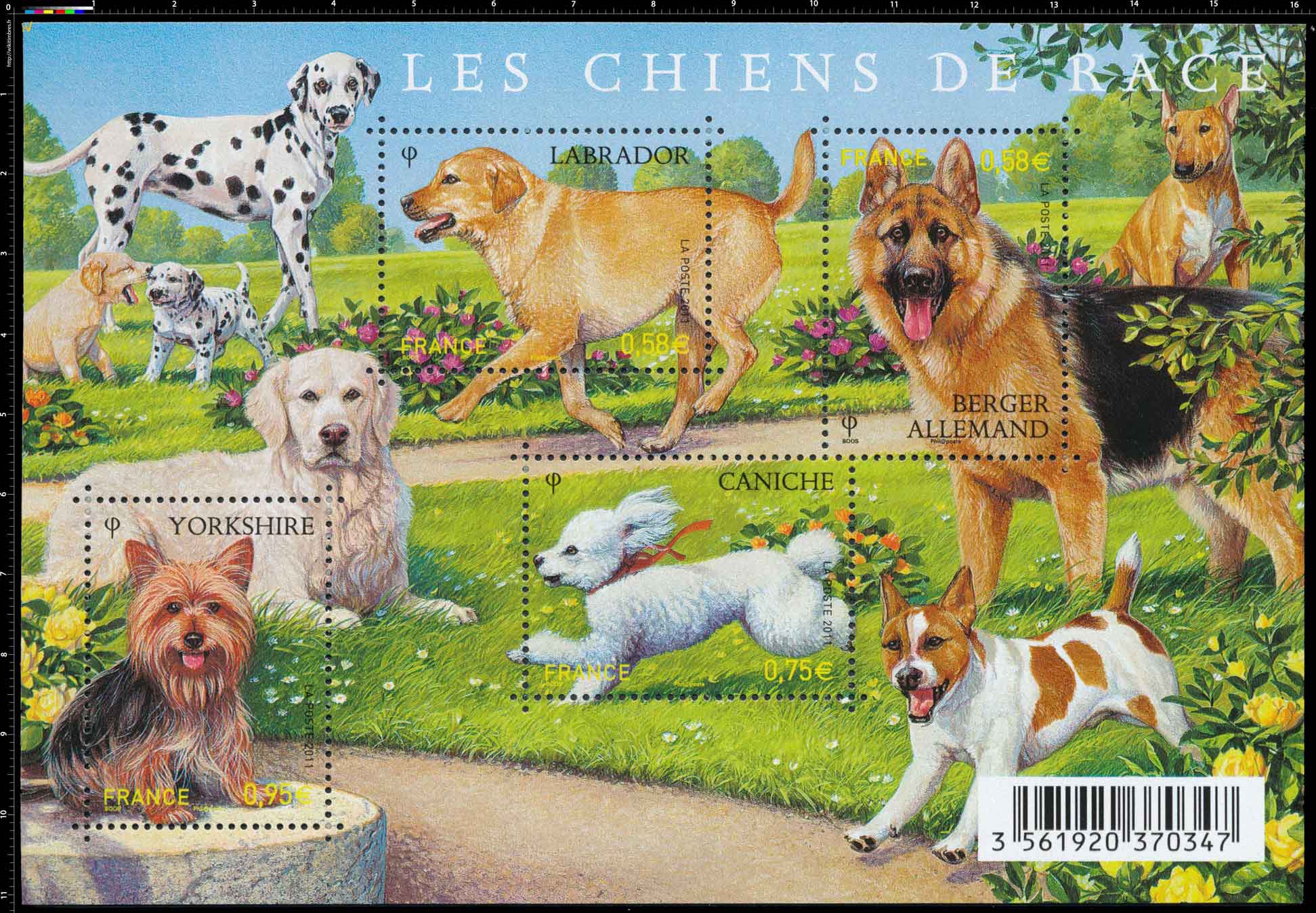 2011 Les chiens de race