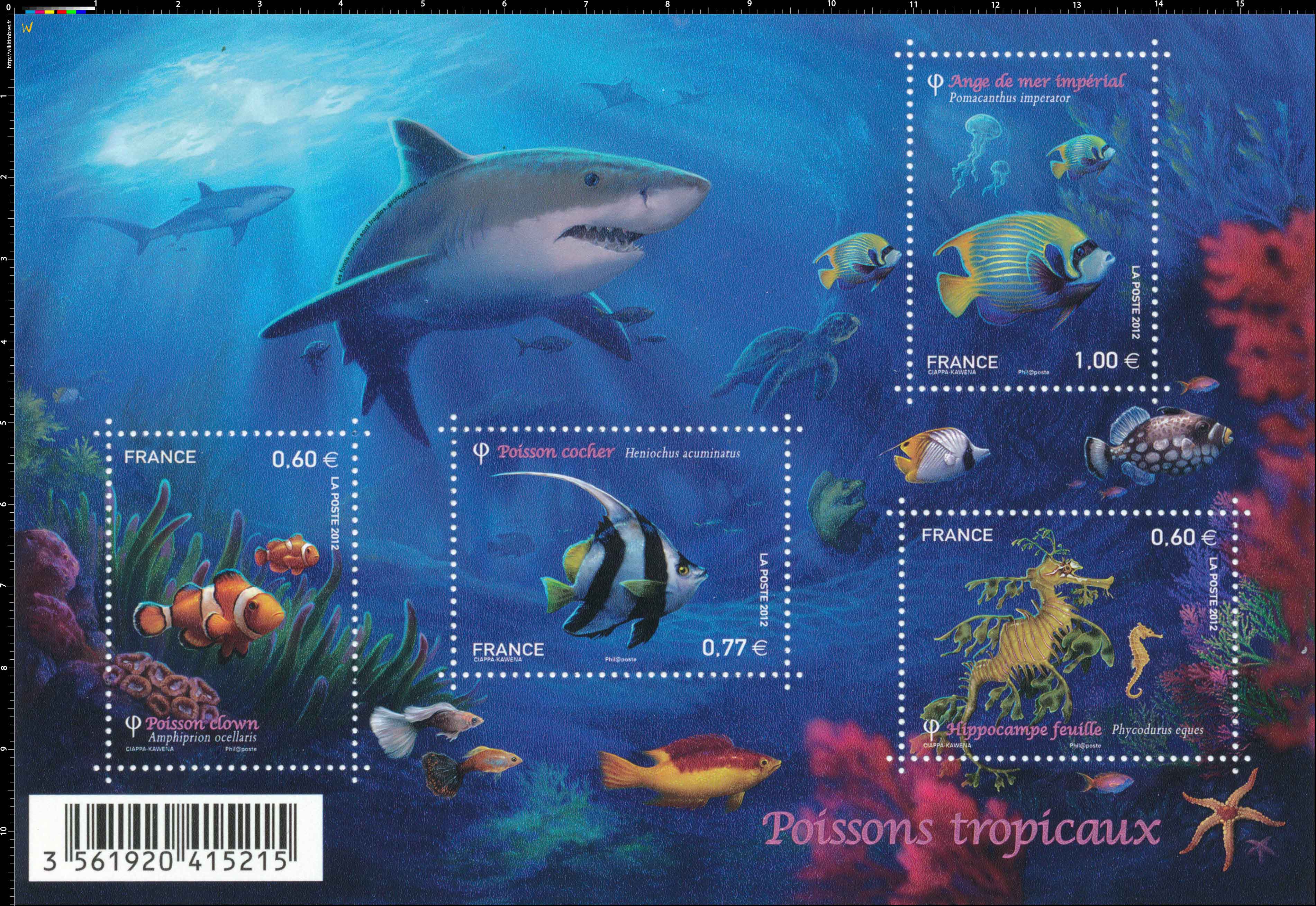 Poissons tropicaux