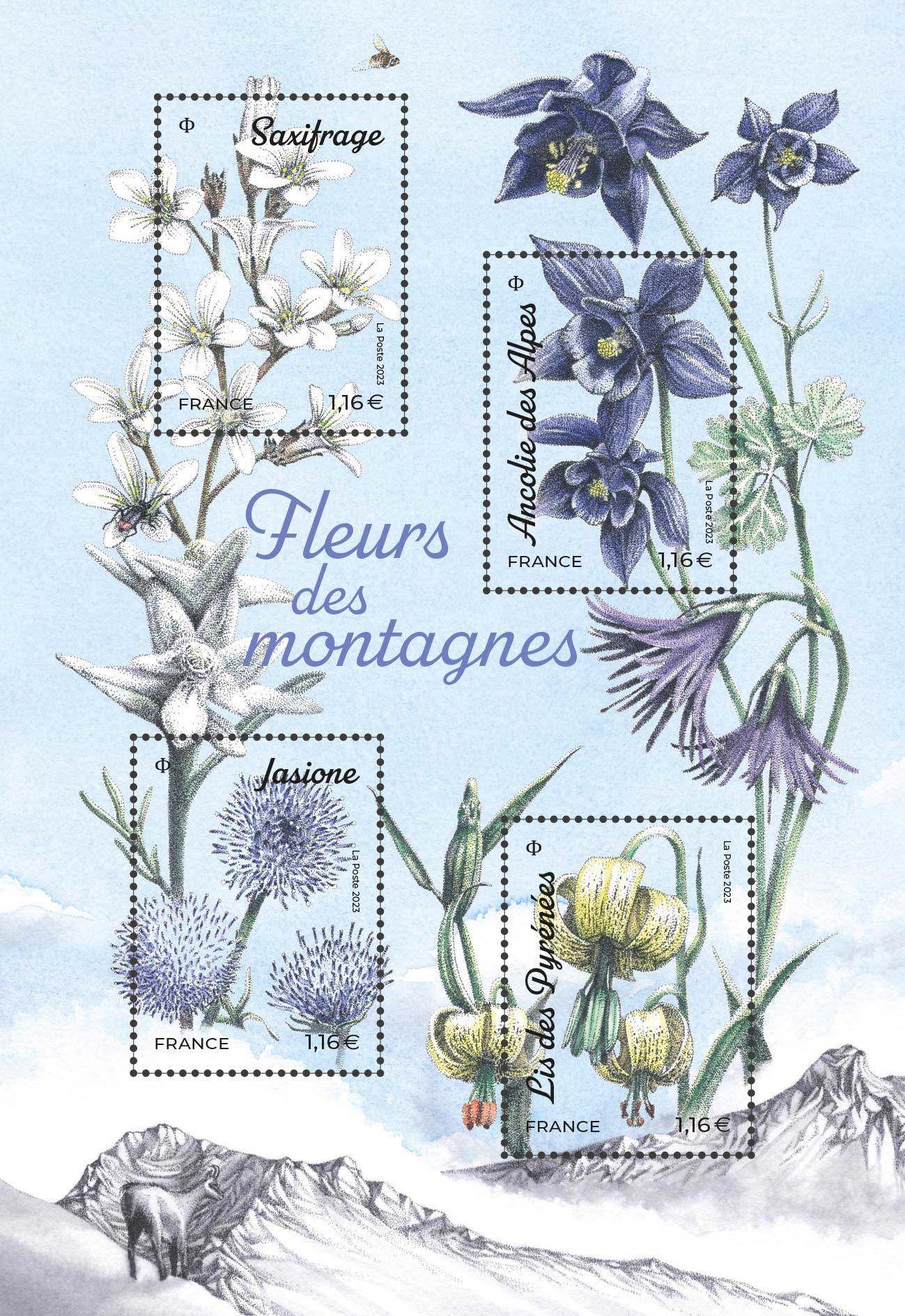2023 FLEURS DES MONTAGNES