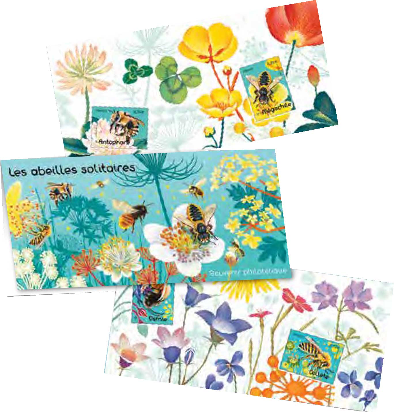 2016 Les abeilles solitaires 