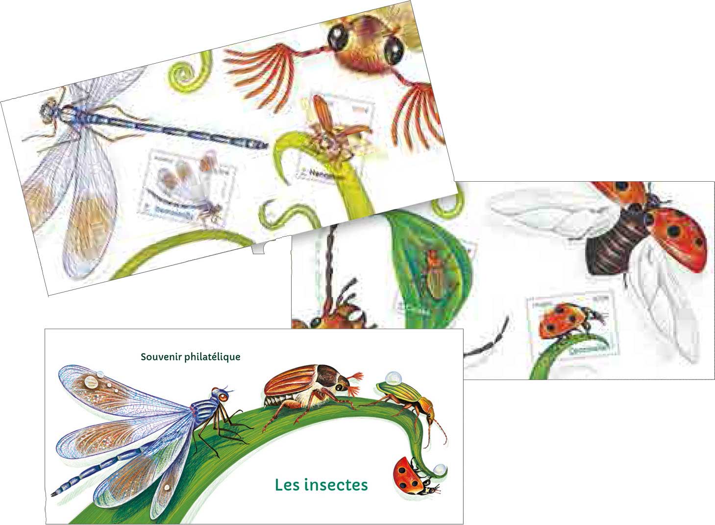 2017 Les insectes