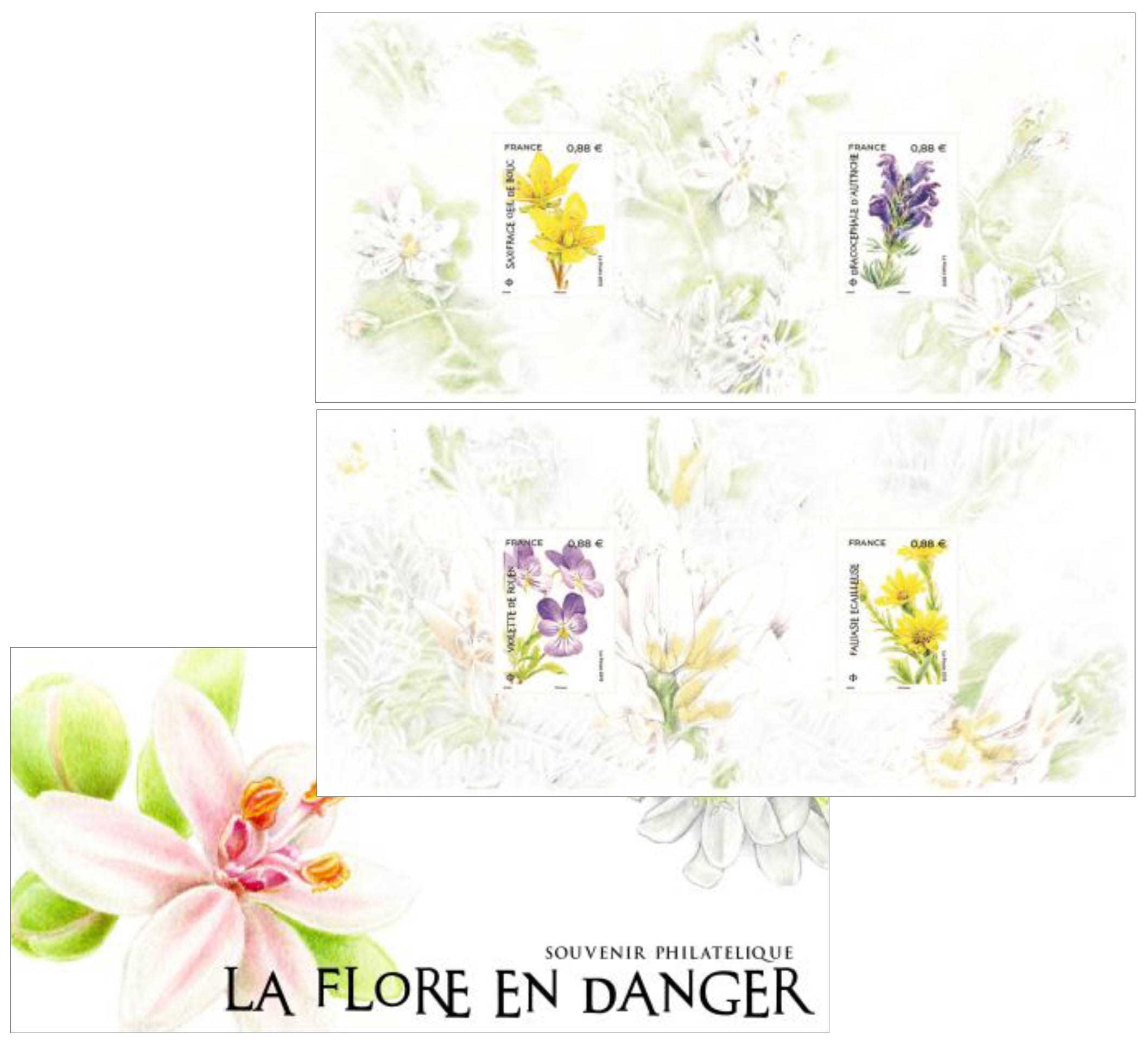 2019 La Flore en danger
