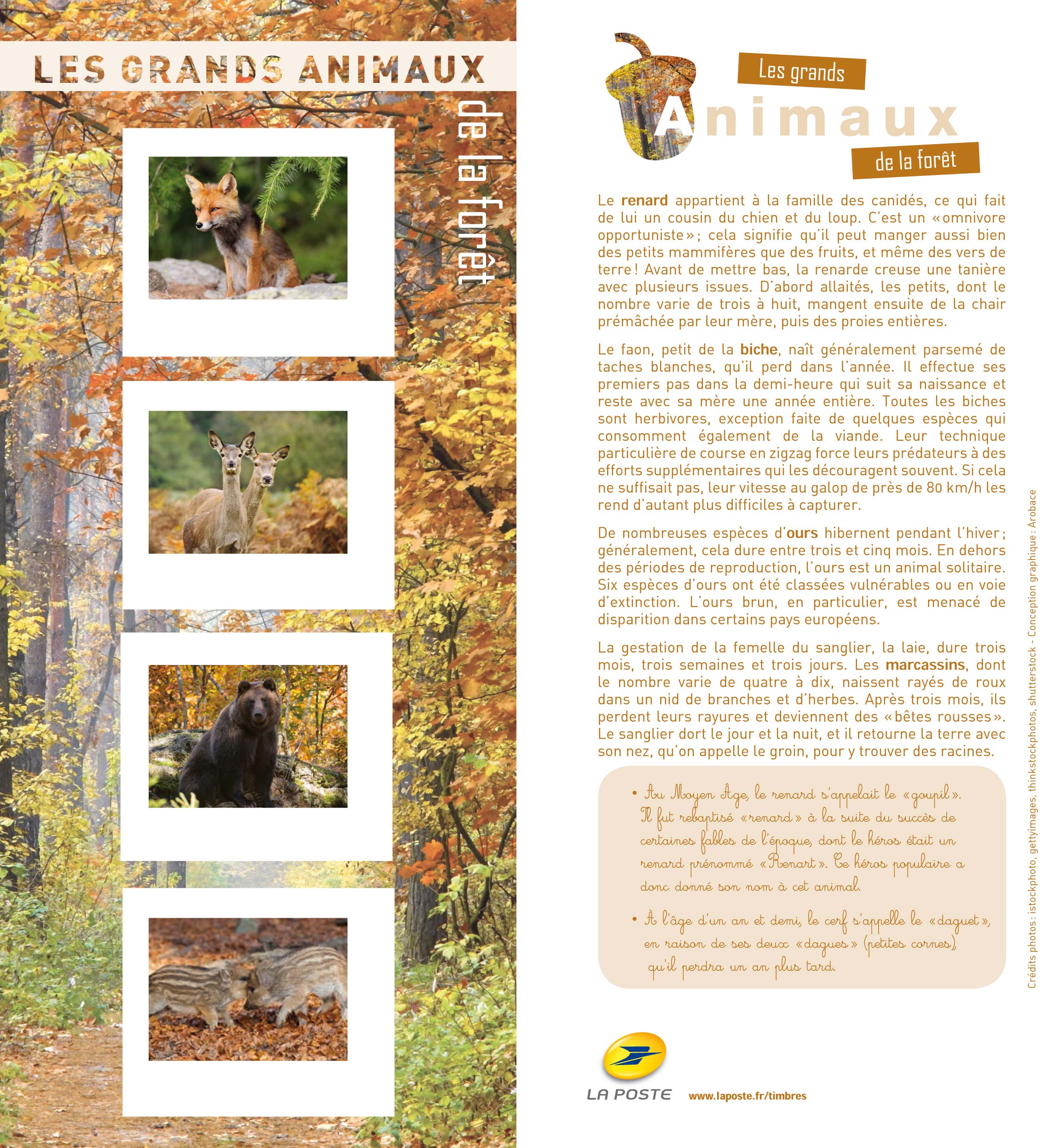 2013 Les grands animaux de la forêt