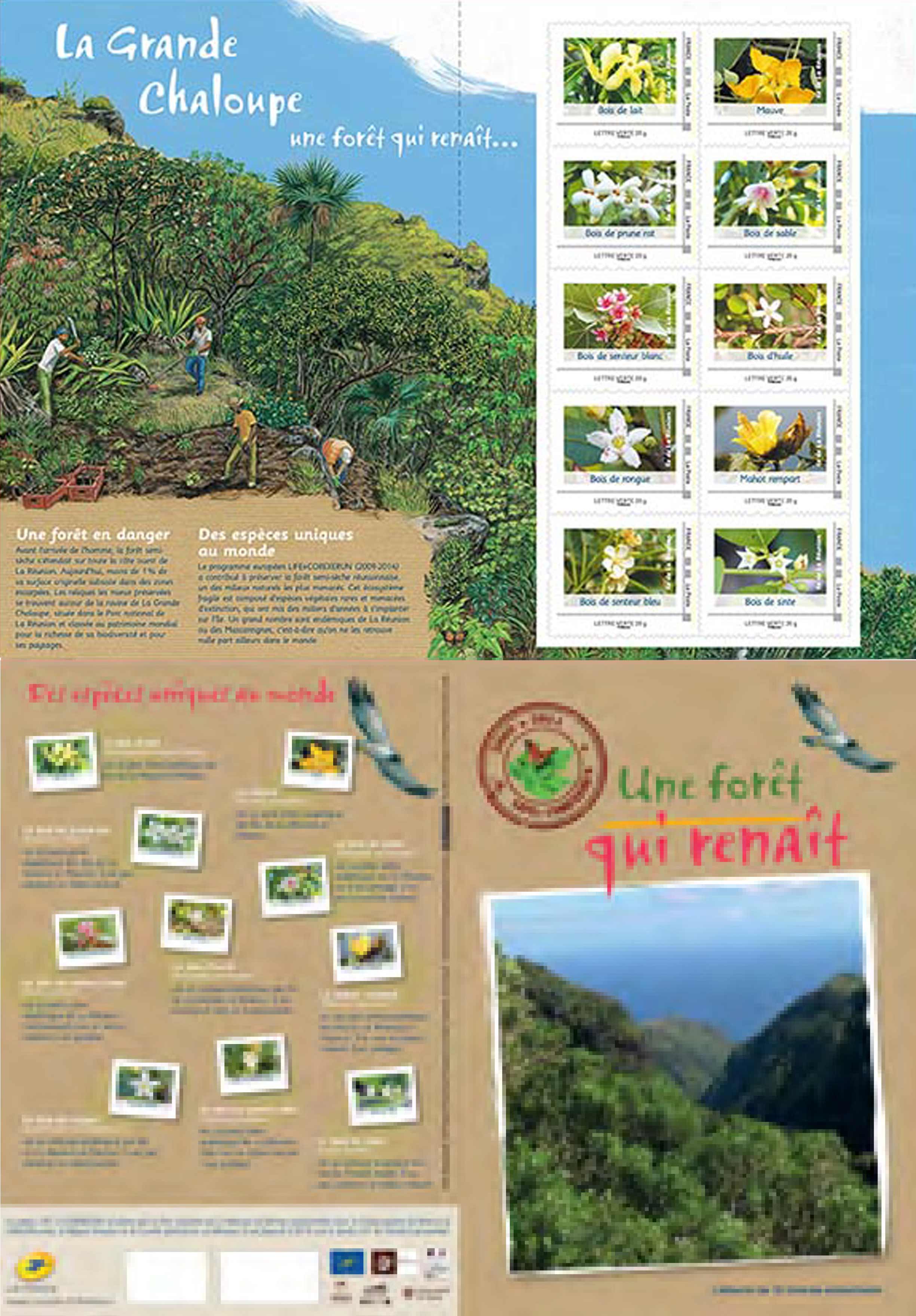 2014 Collector Plantes endémiques - Une forêt qui renaît