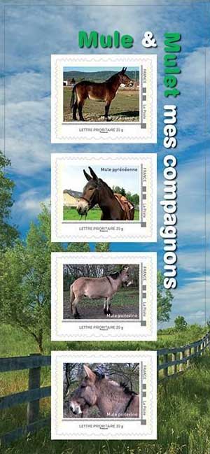 2015 Collector Mule et Mulet