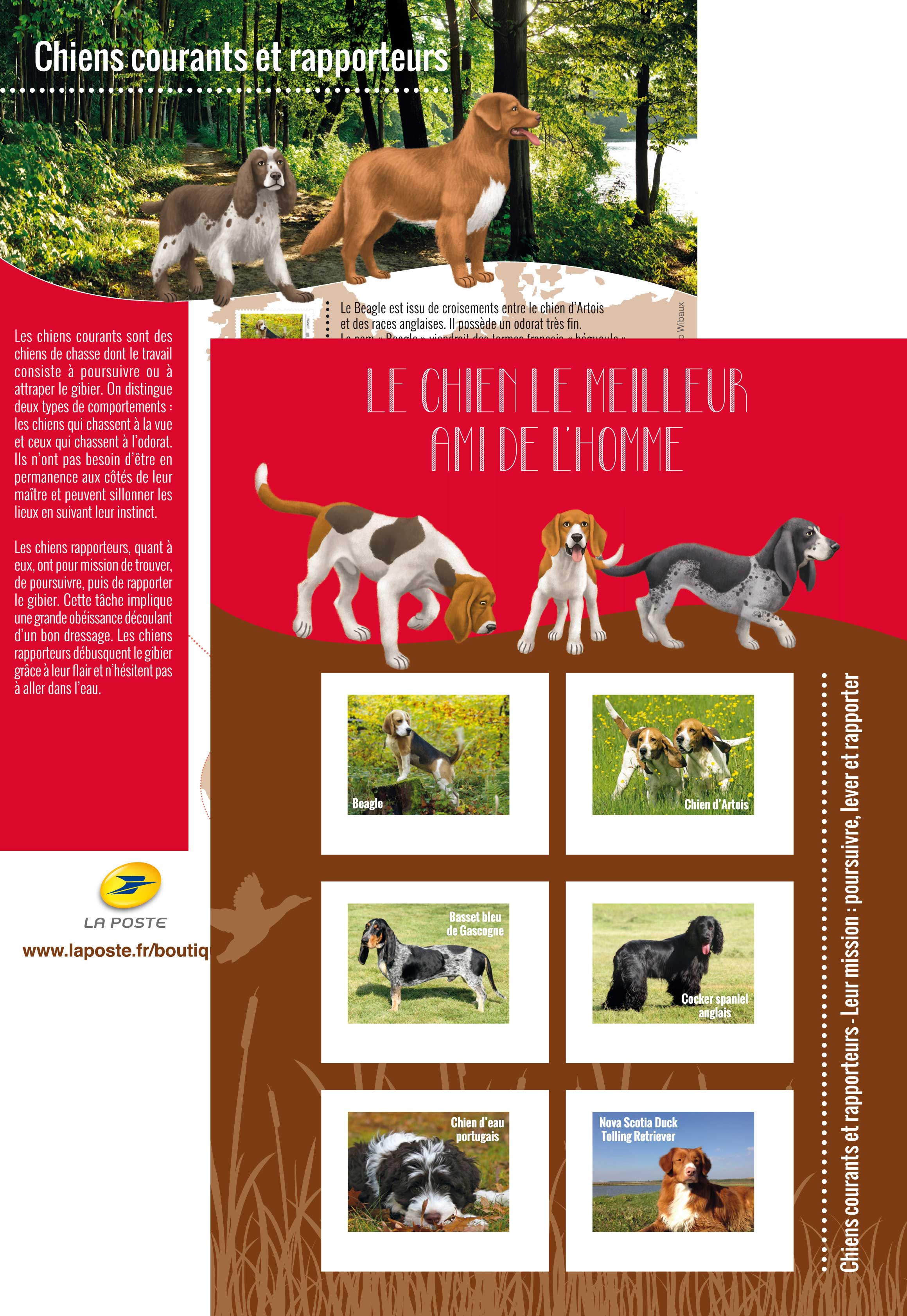 2016 Chiens courants et rapporteurs
