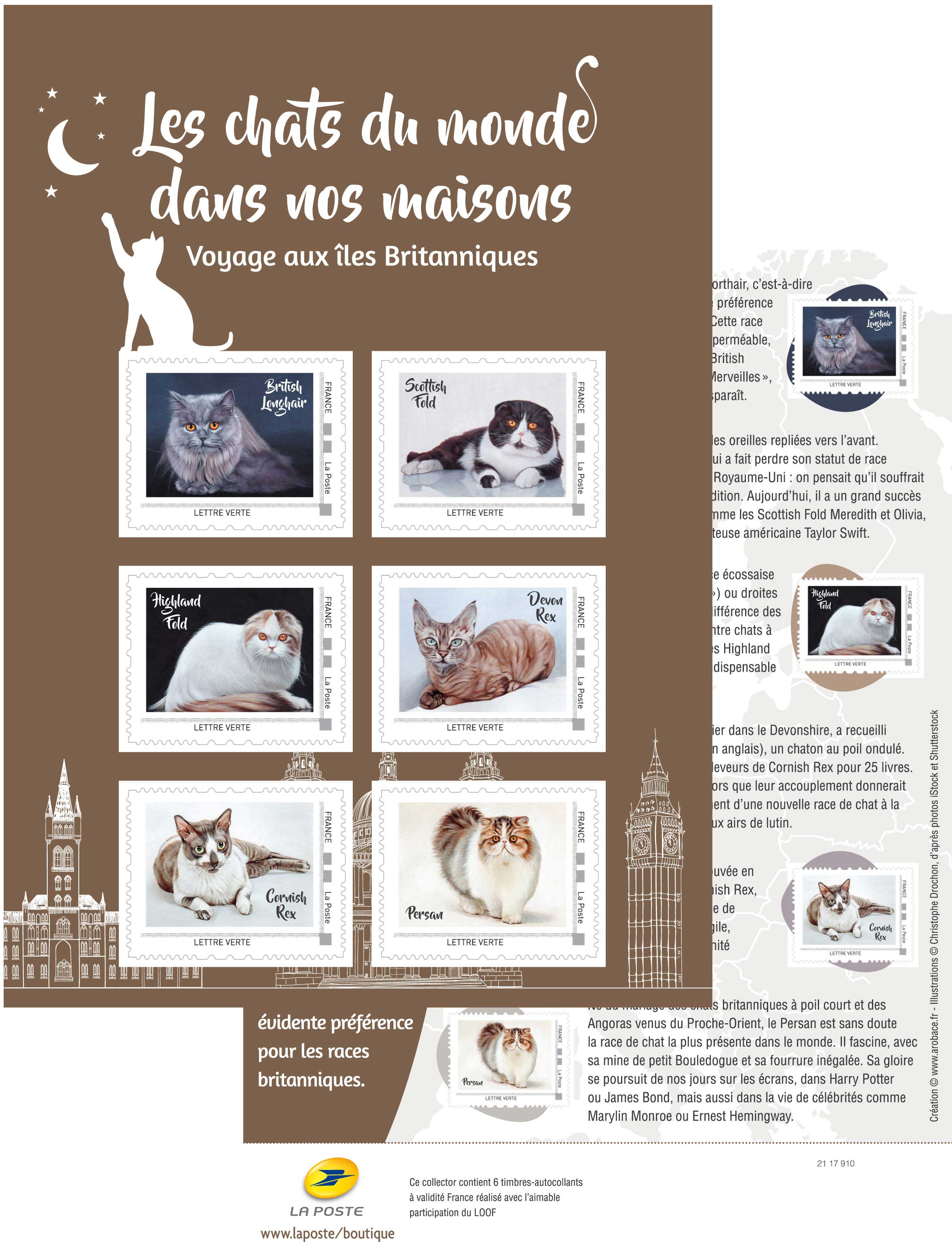 2017 Chats continents Les britanniques
