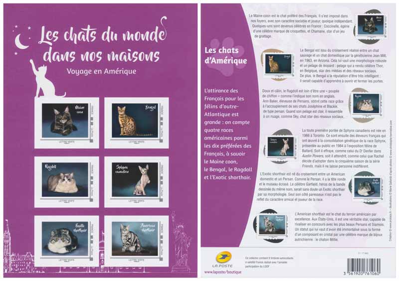 2017 COLLECTOR CHATS D’AMÉRIQUE