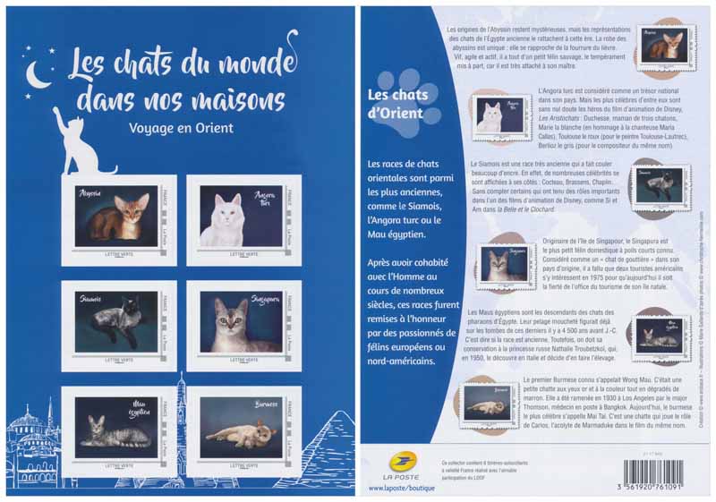 2017 COLLECTOR CHATS D’ASIE