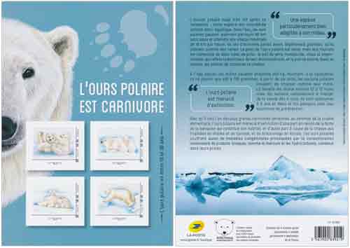 2019 L'ours polaire est carnivore