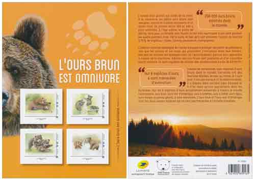 2019 L'ours brun est omnivore