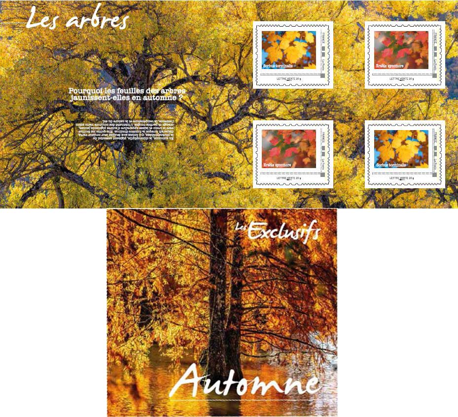 2023 les Exclusifs - AUTOMNE – LES ARBRES