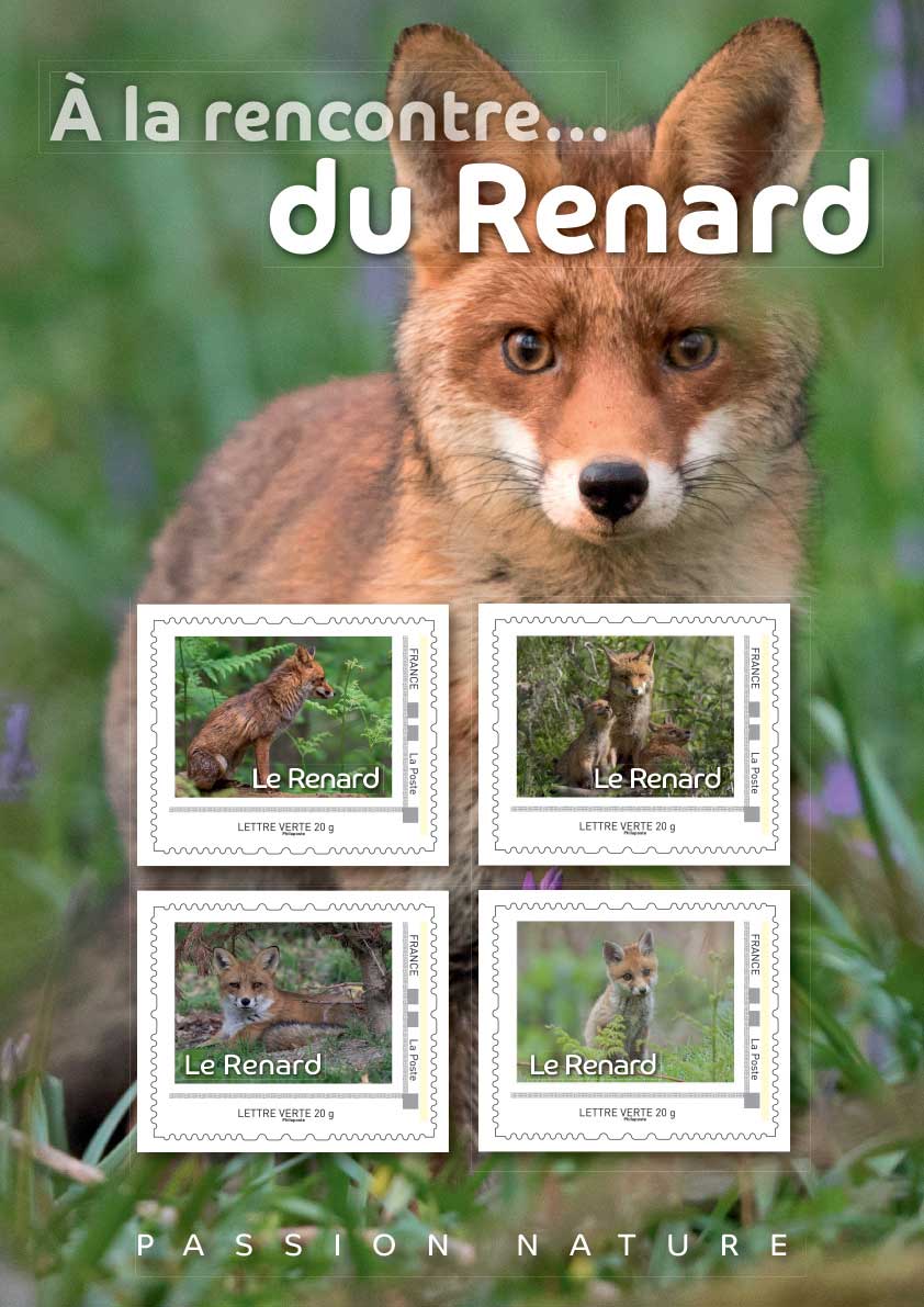 2024 À LA RENCONTRE… DU RENARD