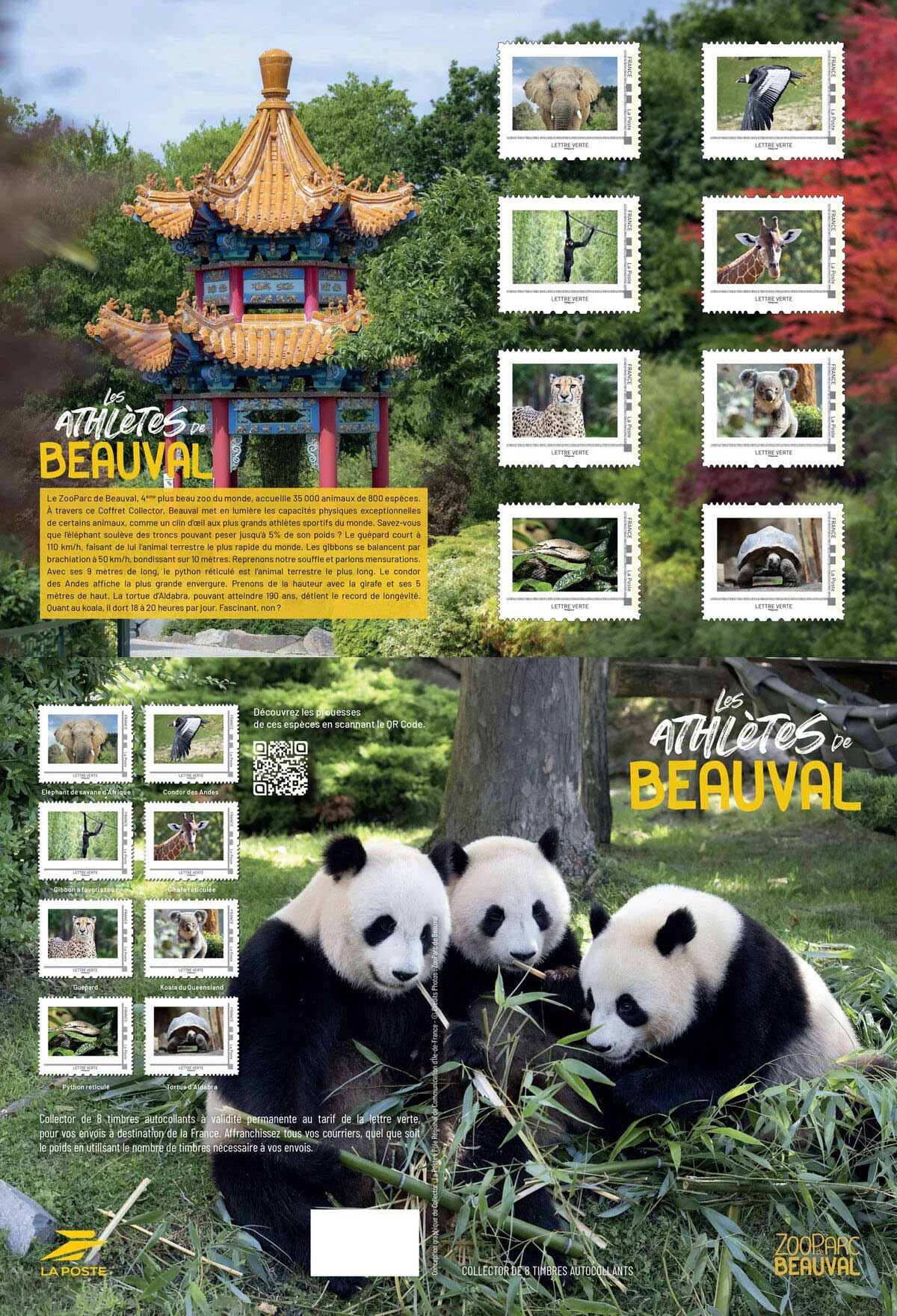 2024 Les athlètes de Beauval
