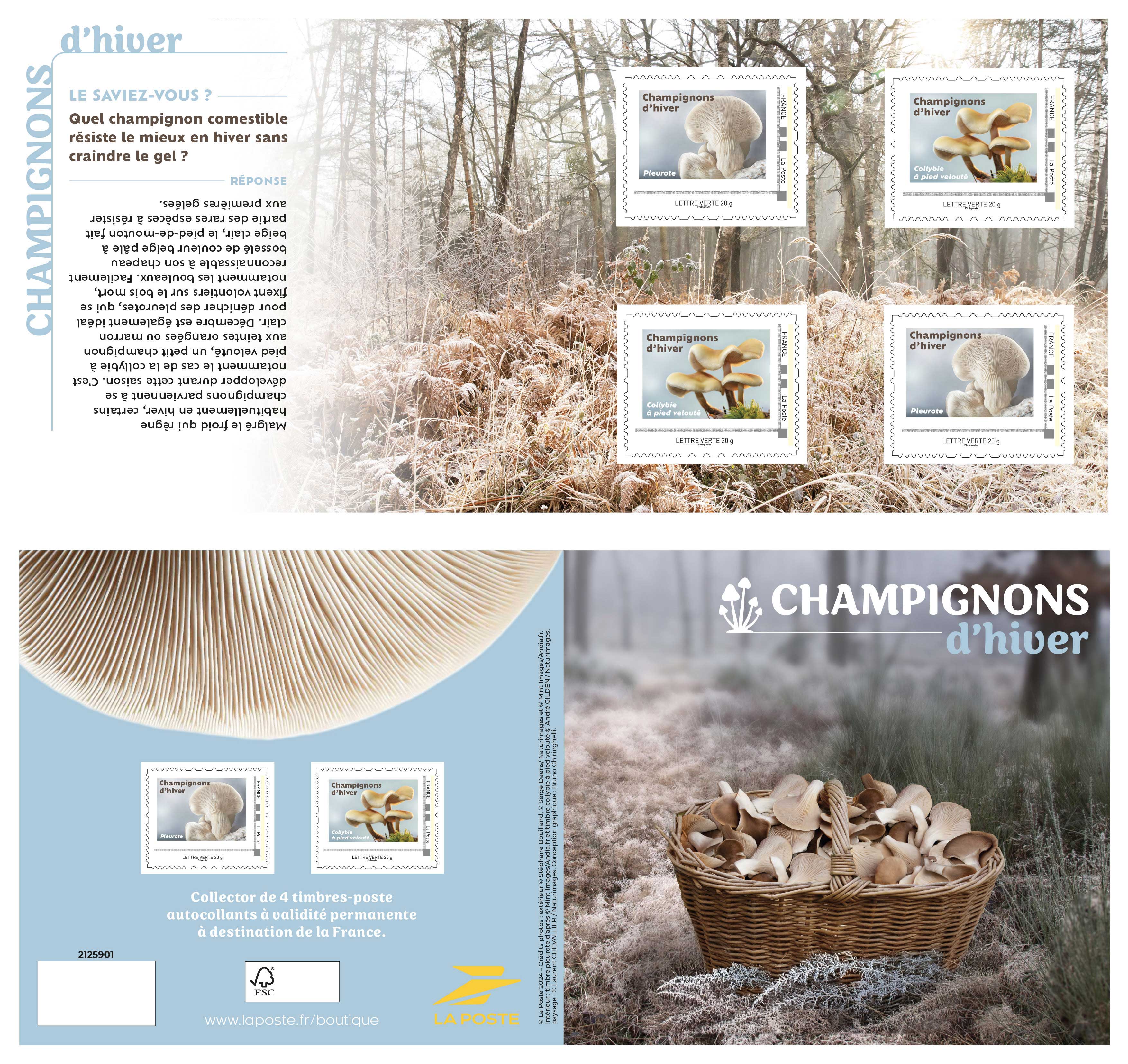 2025 CHAMPIGNONS D’HIVER