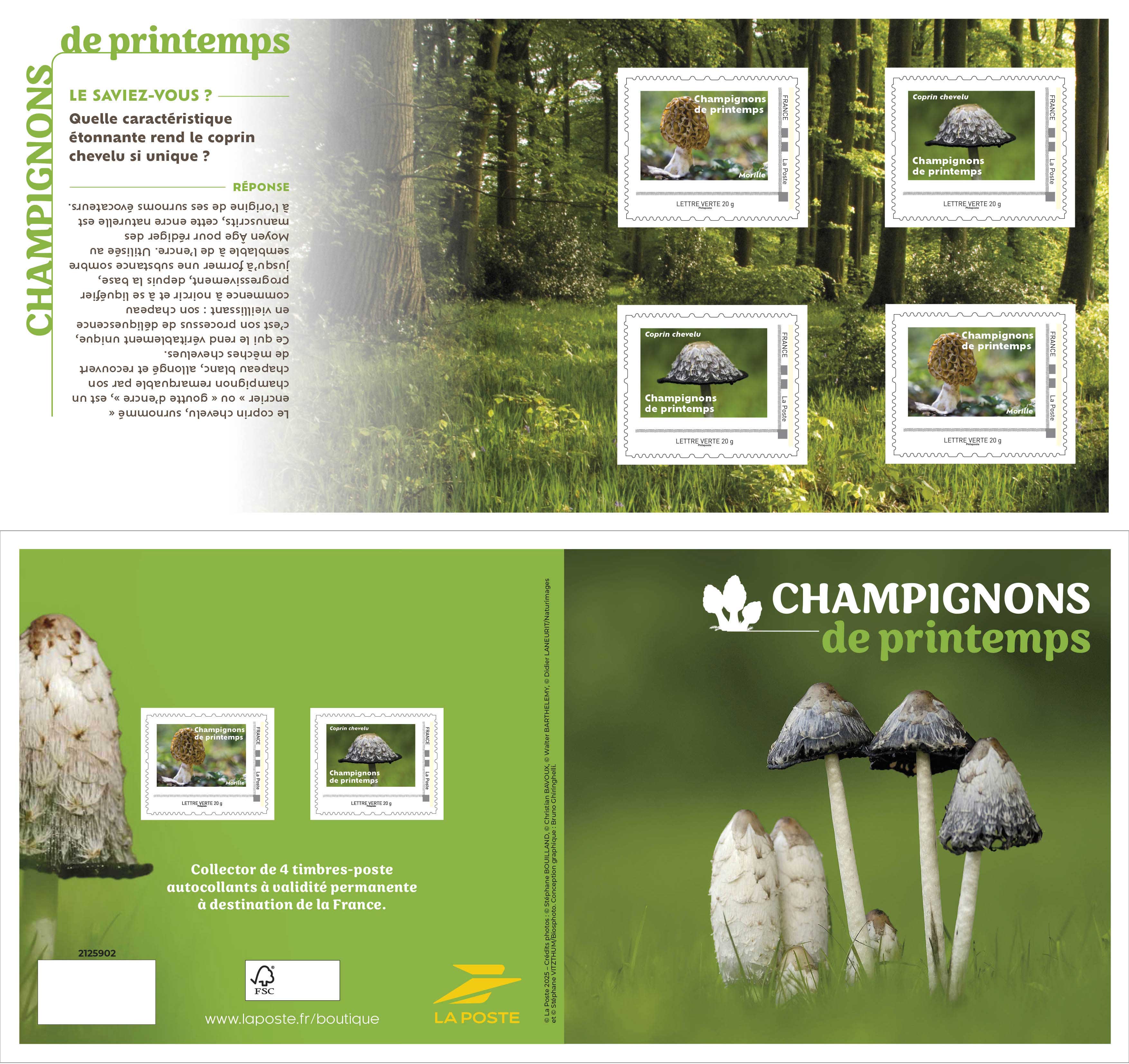2025 CHAMPIGNONS DE PRINTEMPS