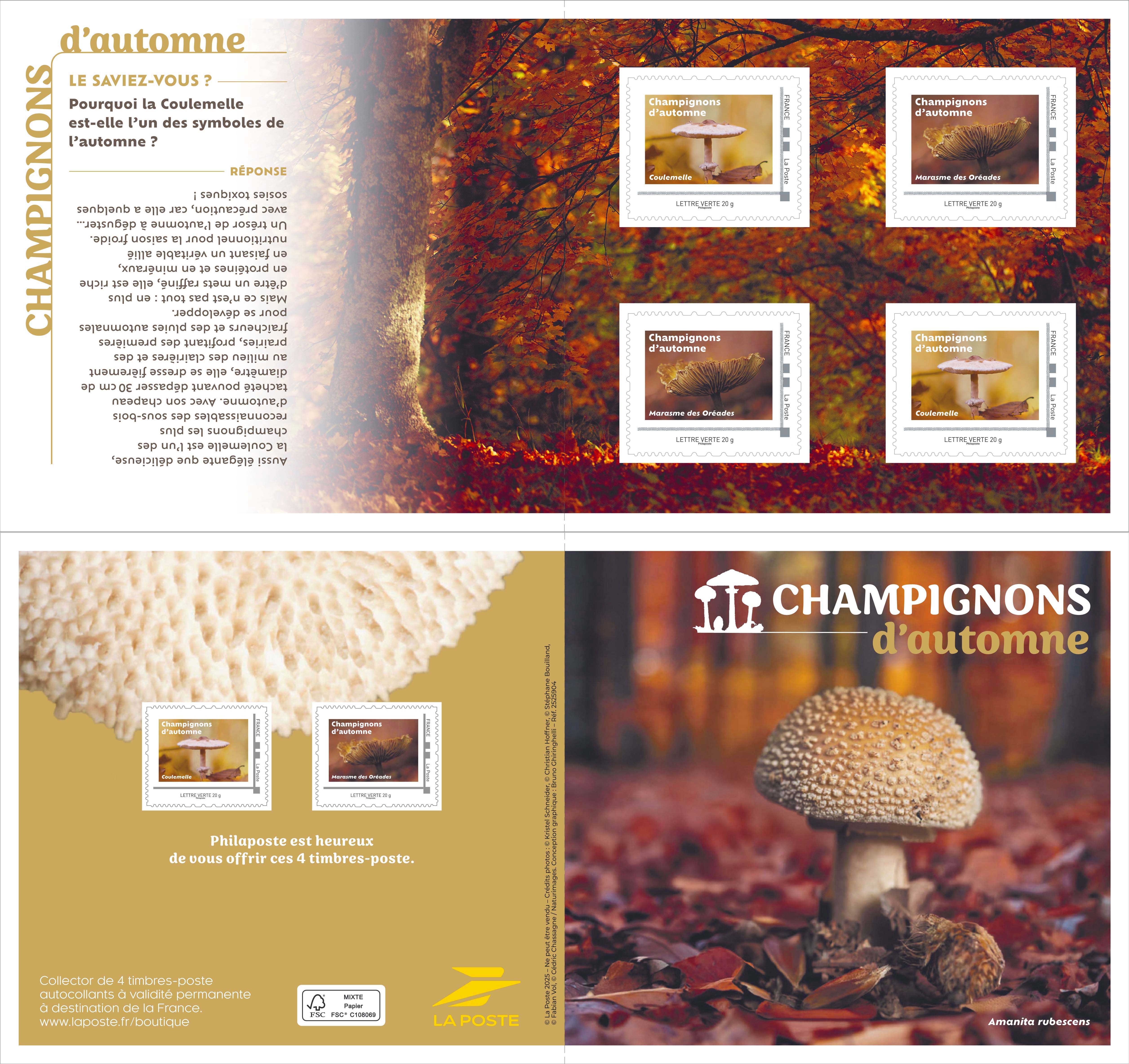 2025 CHAMPIGNONS D’AUTOMNE