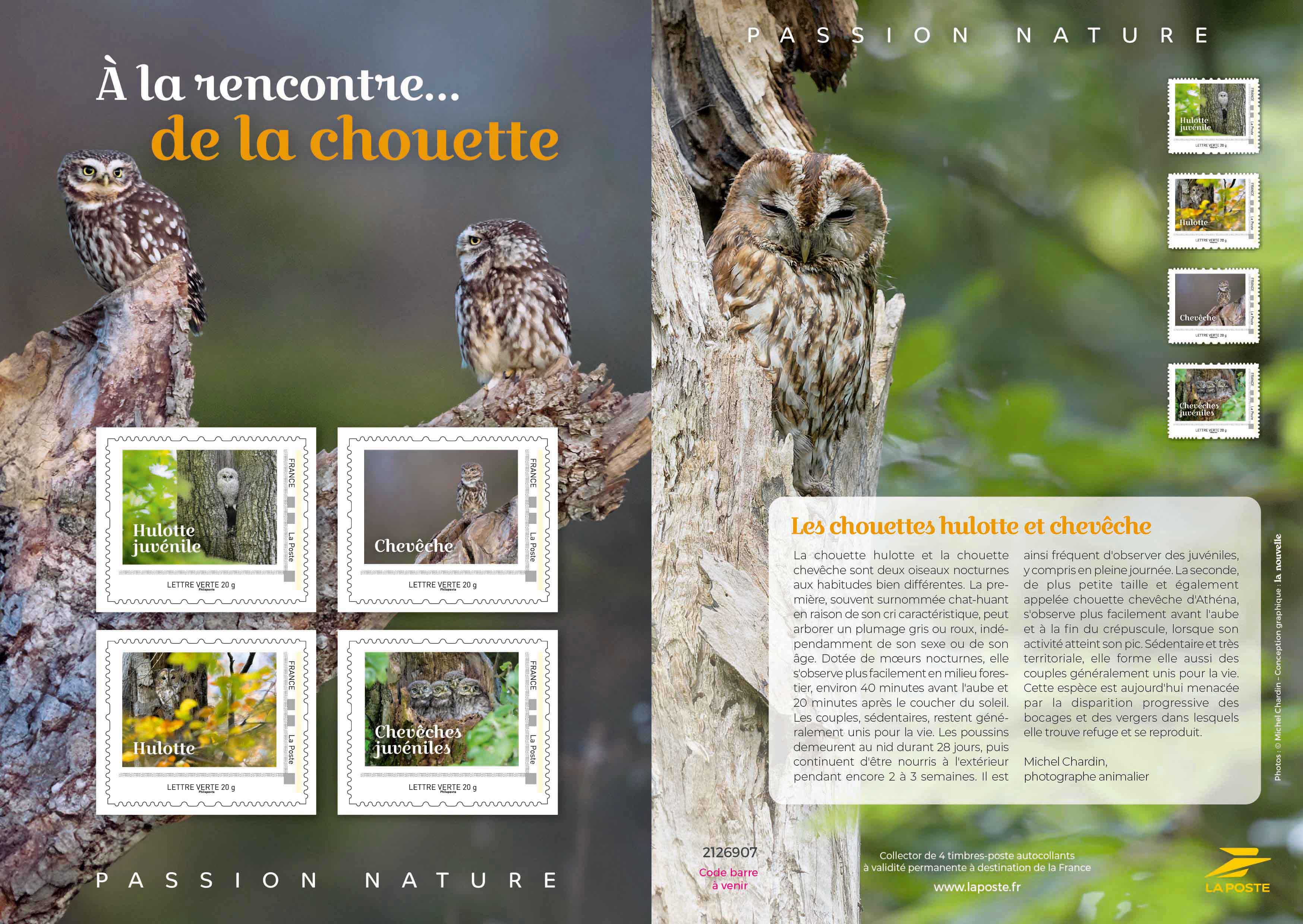 2026 COLLECTOR À LA RENCONTRE … DE LA CHOUETTE