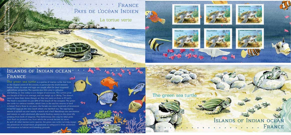 2014 France - pays de l’océan Indien - la tortue verte