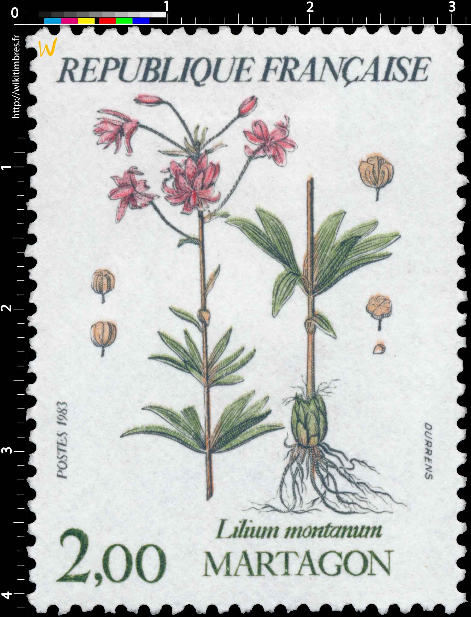 1983 MARTAGON Lilium montanum