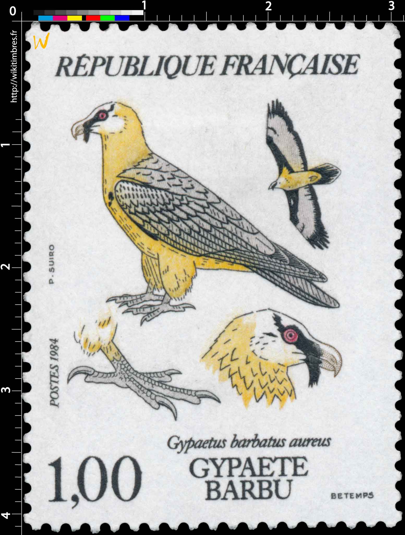 1984 GYPAÈTE BARBU gypaetus barbatus aureus