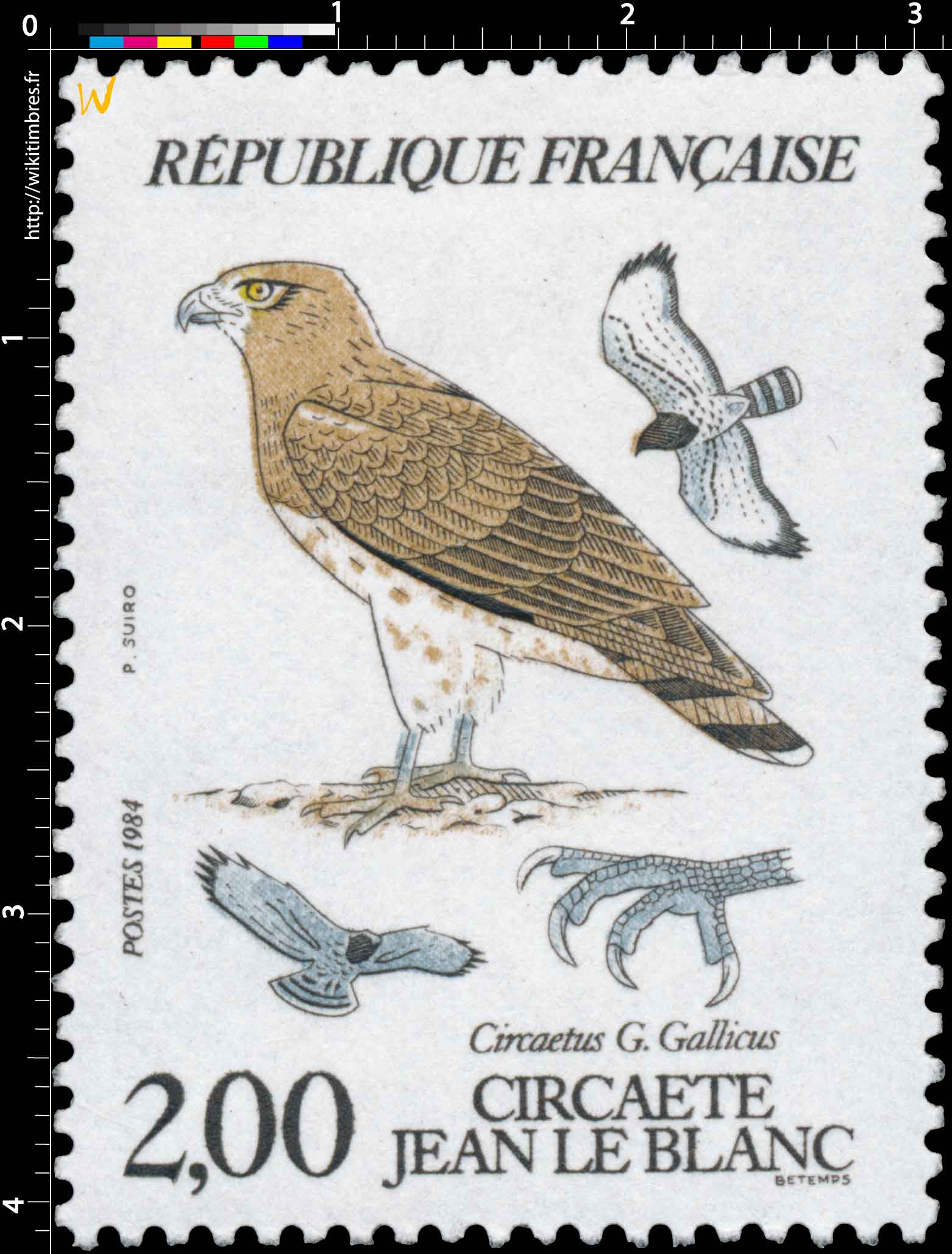 1984 CIRCAÈTE JEAN LE BLANC Circaetus G. Gallicus